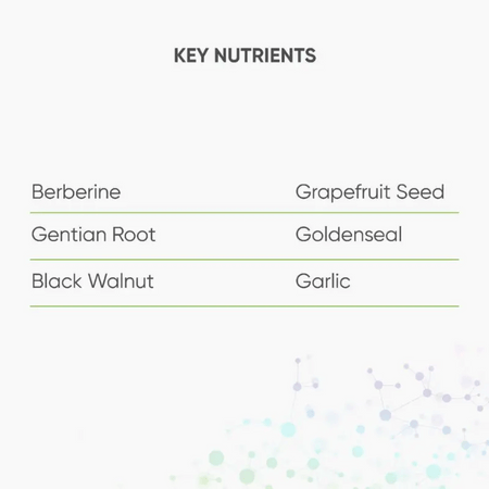 Nutri Advanced Berberine + Grapefruit Seed 120 Caps- Lillys Pharmacy and Health Store