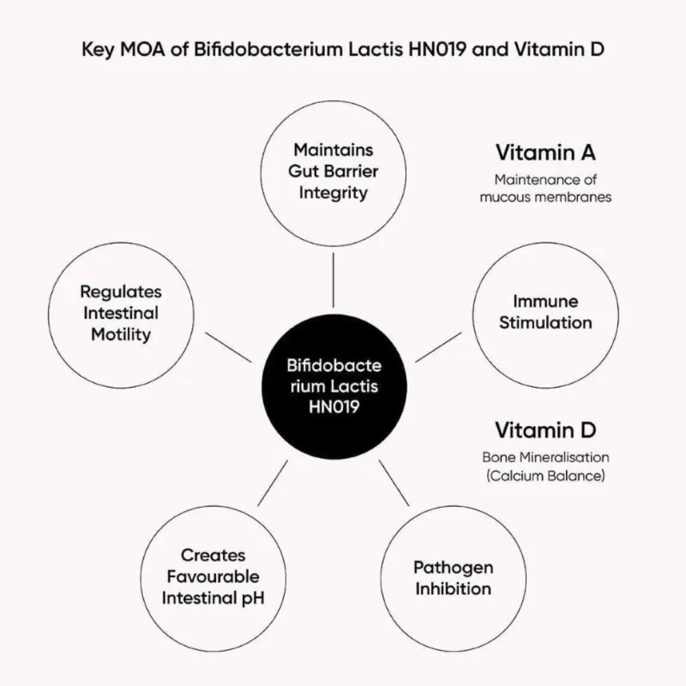 Nutri Advanced Bactiol Regular 60 Caps- Lillys Pharmacy and Health Store