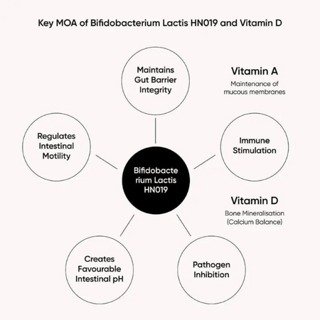 Nutri Advanced Bactiol Regular 60 Caps- Lillys Pharmacy and Health Store