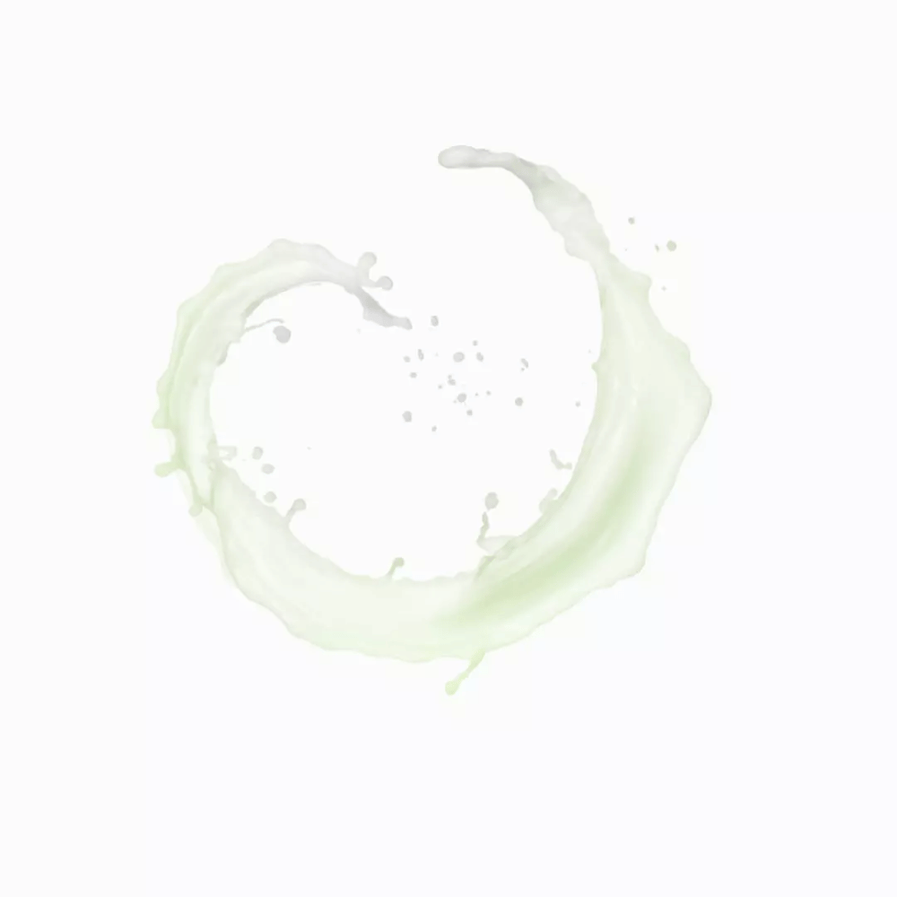 Payot Pâte Grise Mattifying Bi-Phase Powder Lotion 125ml- Lillys Pharmacy and Health Store