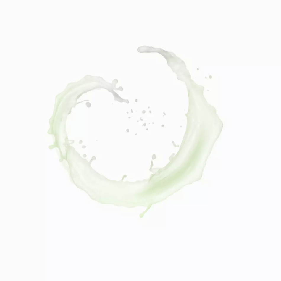 Payot Pâte Grise Mattifying Bi-Phase Powder Lotion 125ml- Lillys Pharmacy and Health Store