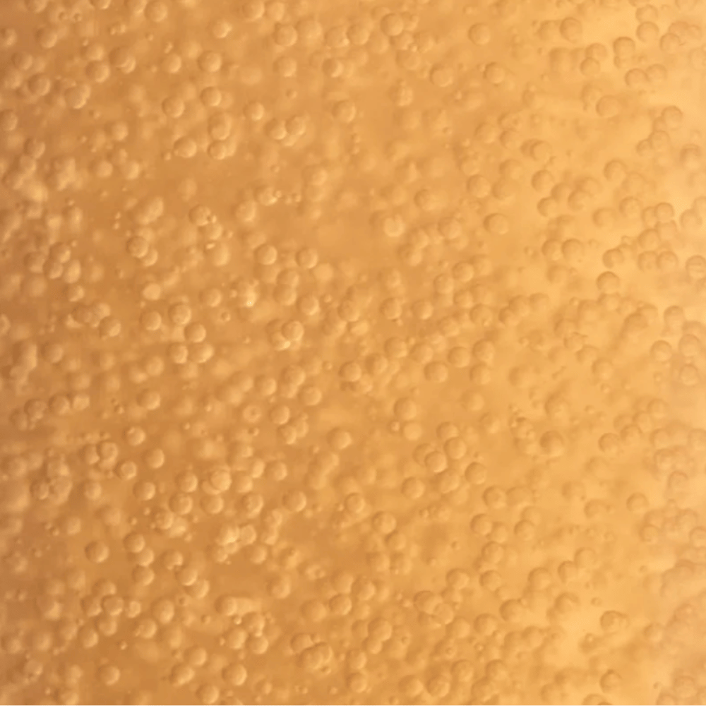 Payot Supreme Absolu Micro-Pearl Youth Infusion 100ml- Lillys Pharmacy and Health Store