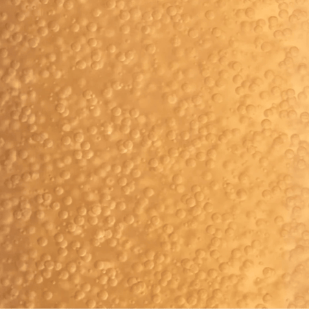 Payot Supreme Absolu Micro-Pearl Youth Infusion 100ml- Lillys Pharmacy and Health Store