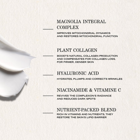 Payot Supreme Absolu Rich Cream 50ml- Lillys Pharmacy and Health Store