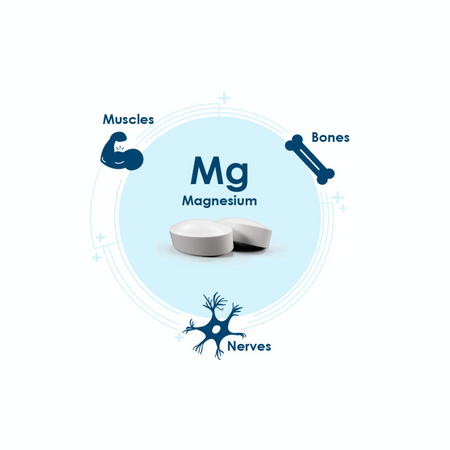Pharma Nord BioActive Magnesium 60's- Lillys Pharmacy and Health Store