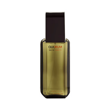 Quorum Mens 100ml Edt Spr- Lillys Pharmacy and Health Store