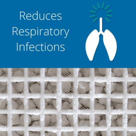 Salin® Plus Replacement Filter- Lillys Pharmacy and Health Store