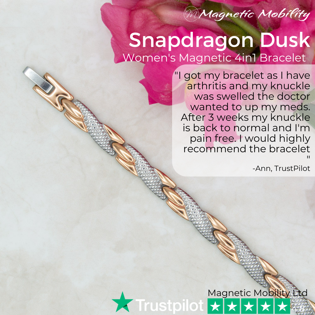 Snapdragon Dusk 4in1 Magnetic Bracelet- Lillys Pharmacy and Health Store