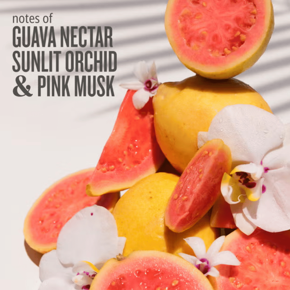 Sol De Janerio Cheirosa 48 Perfume Mist 90ml- Lillys Pharmacy and Health Store