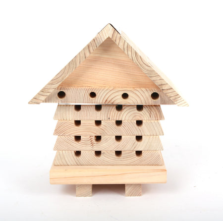 Solitary Bee Hotel- Lillys Pharmacy and Health Store