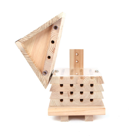 Solitary Bee Hotel- Lillys Pharmacy and Health Store