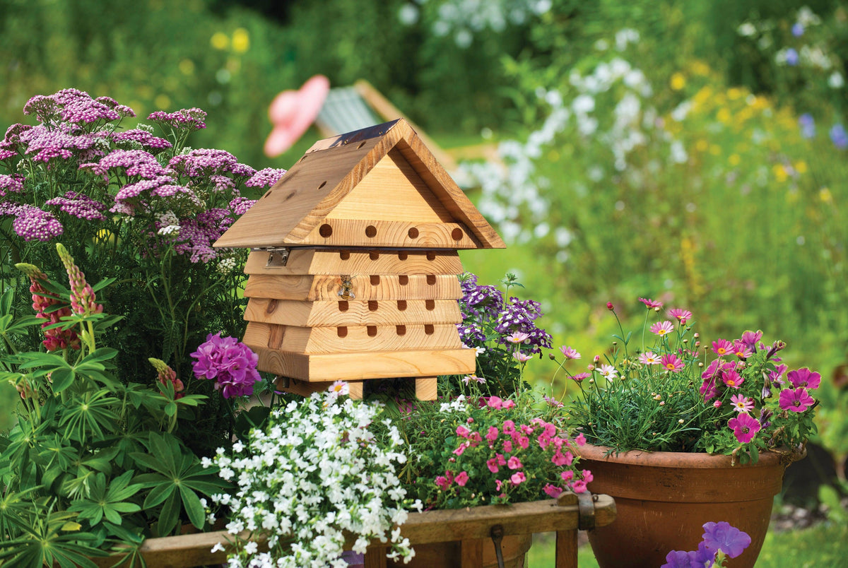 Solitary Bee Hotel- Lillys Pharmacy and Health Store
