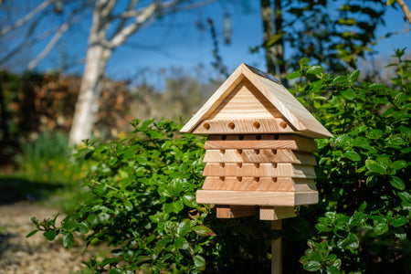 Solitary Bee Hotel- Lillys Pharmacy and Health Store