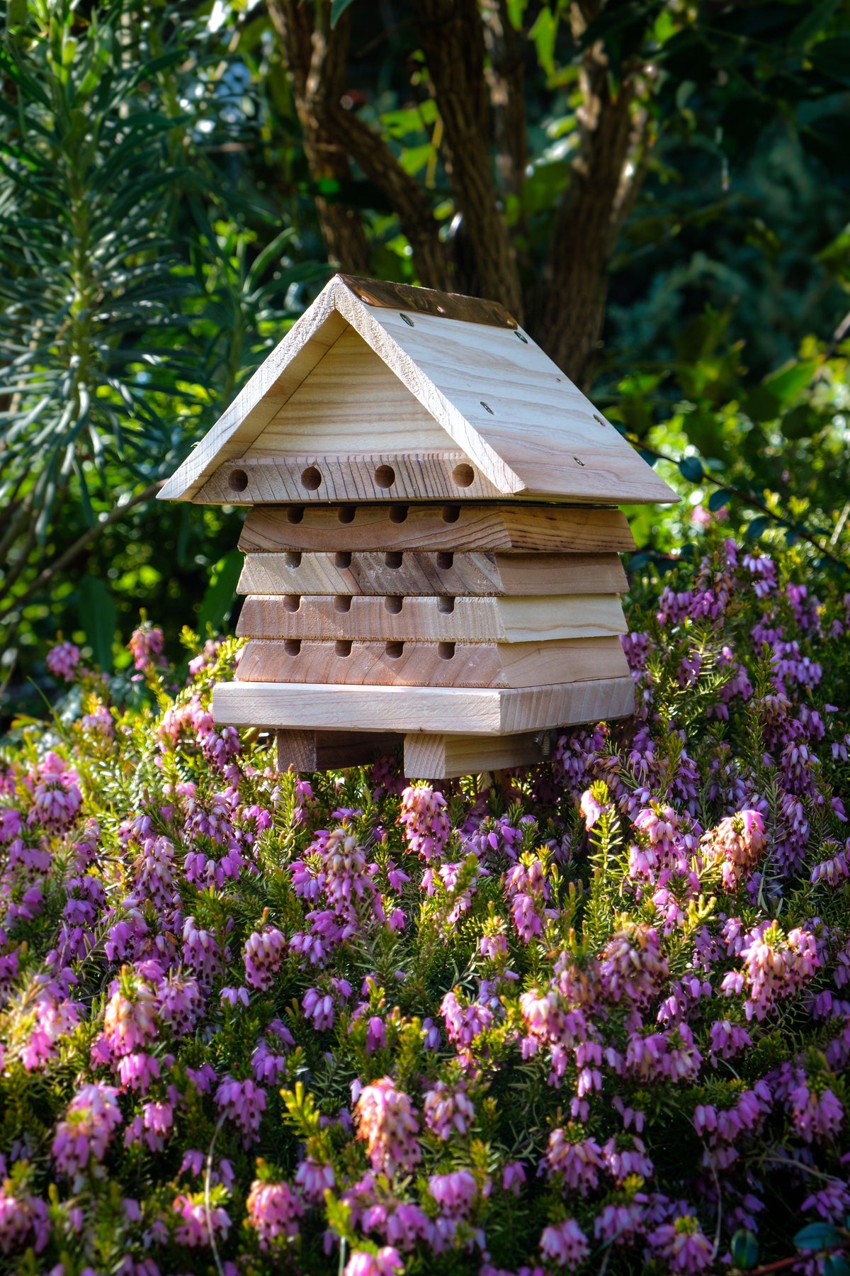 Solitary Bee Hotel- Lillys Pharmacy and Health Store