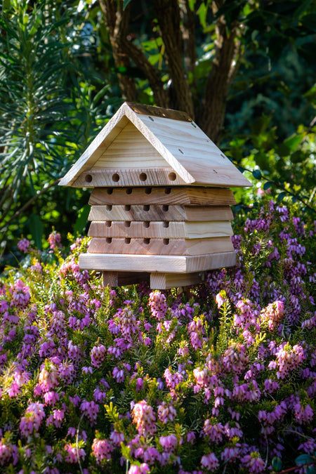 Solitary Bee Hotel- Lillys Pharmacy and Health Store