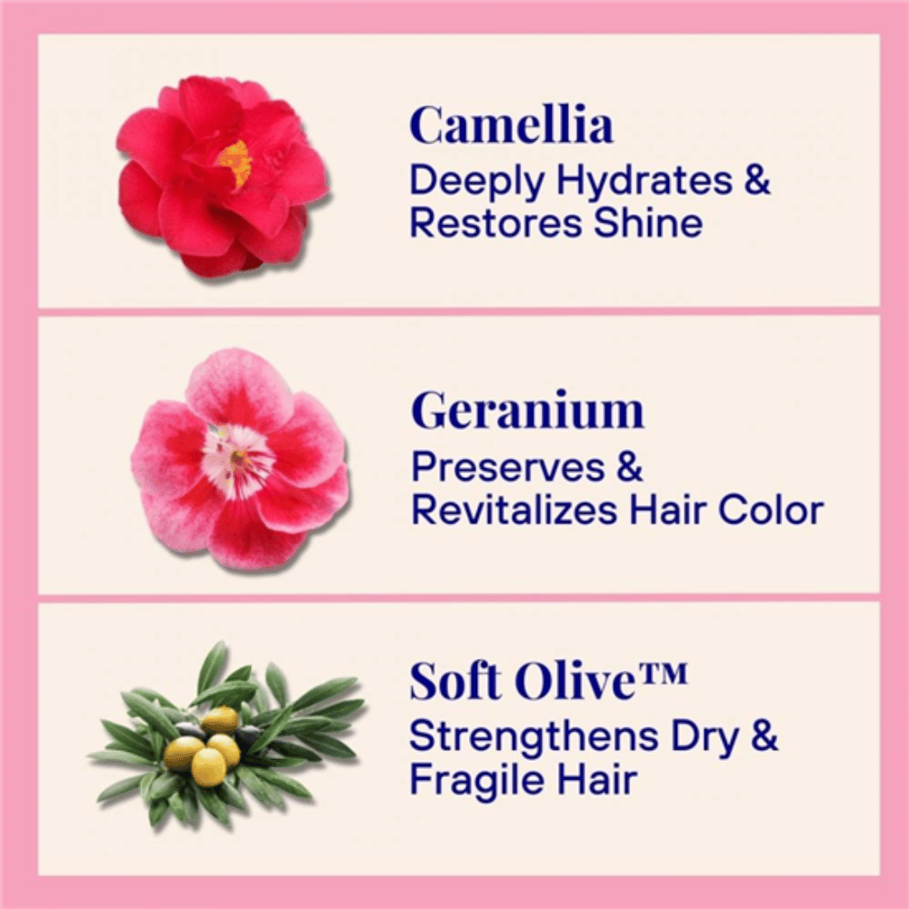 The Powder Shampoo Camellia & Geranium Hydrating Shampoo For Dry & Fragile Hair Refill Pouch 50g- Lillys Pharmacy and Health Store
