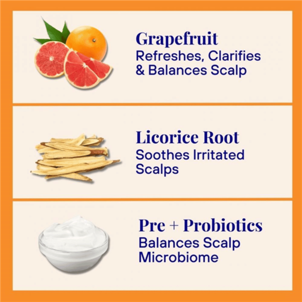 The Powder Shampoo Grapefruit & Thyme Strengthening Shampoo Refill Pouch 50g- Lillys Pharmacy and Health Store