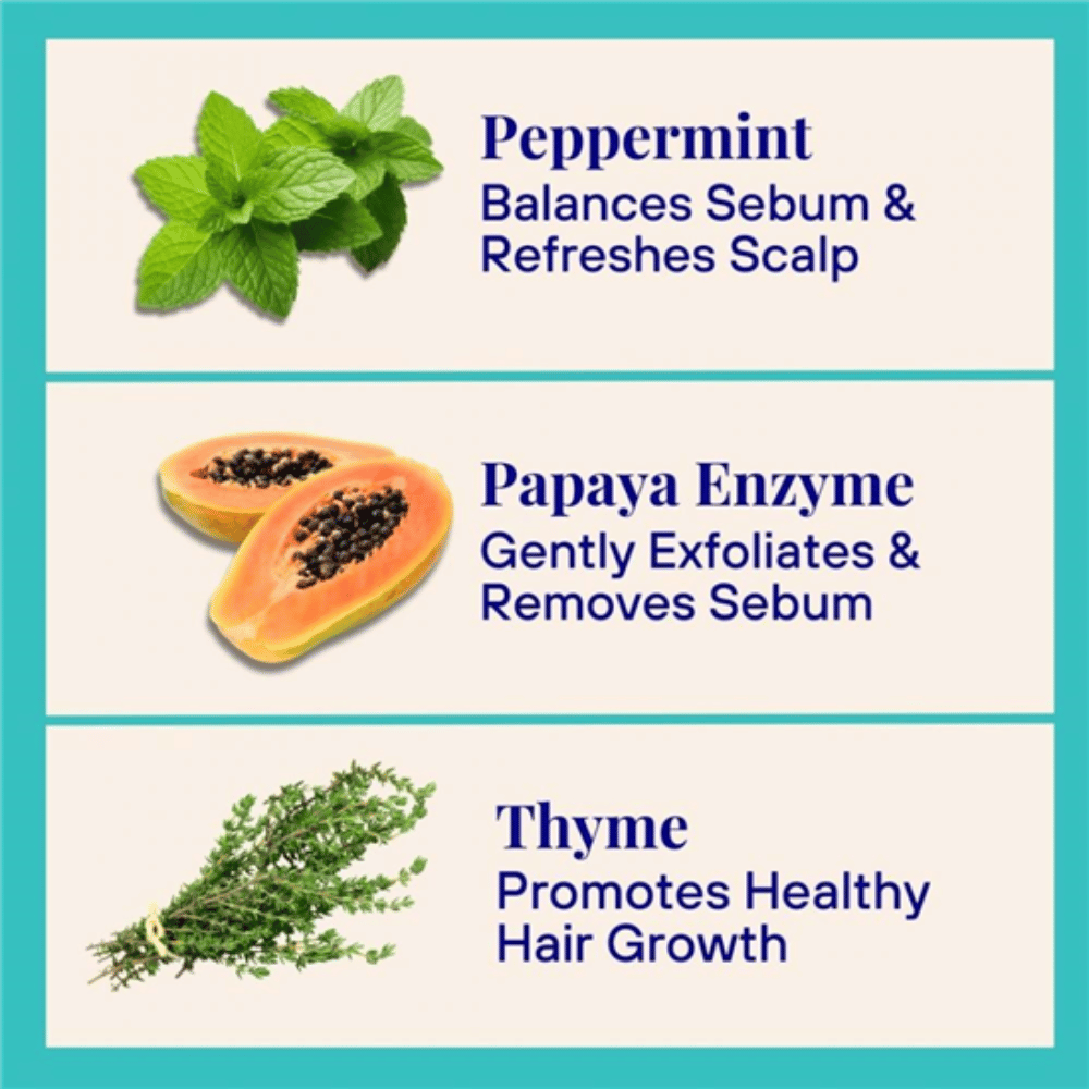 The Powder Shampoo Peppermint & Thyme Purifying Shampoo 70g- Lillys Pharmacy and Health Store