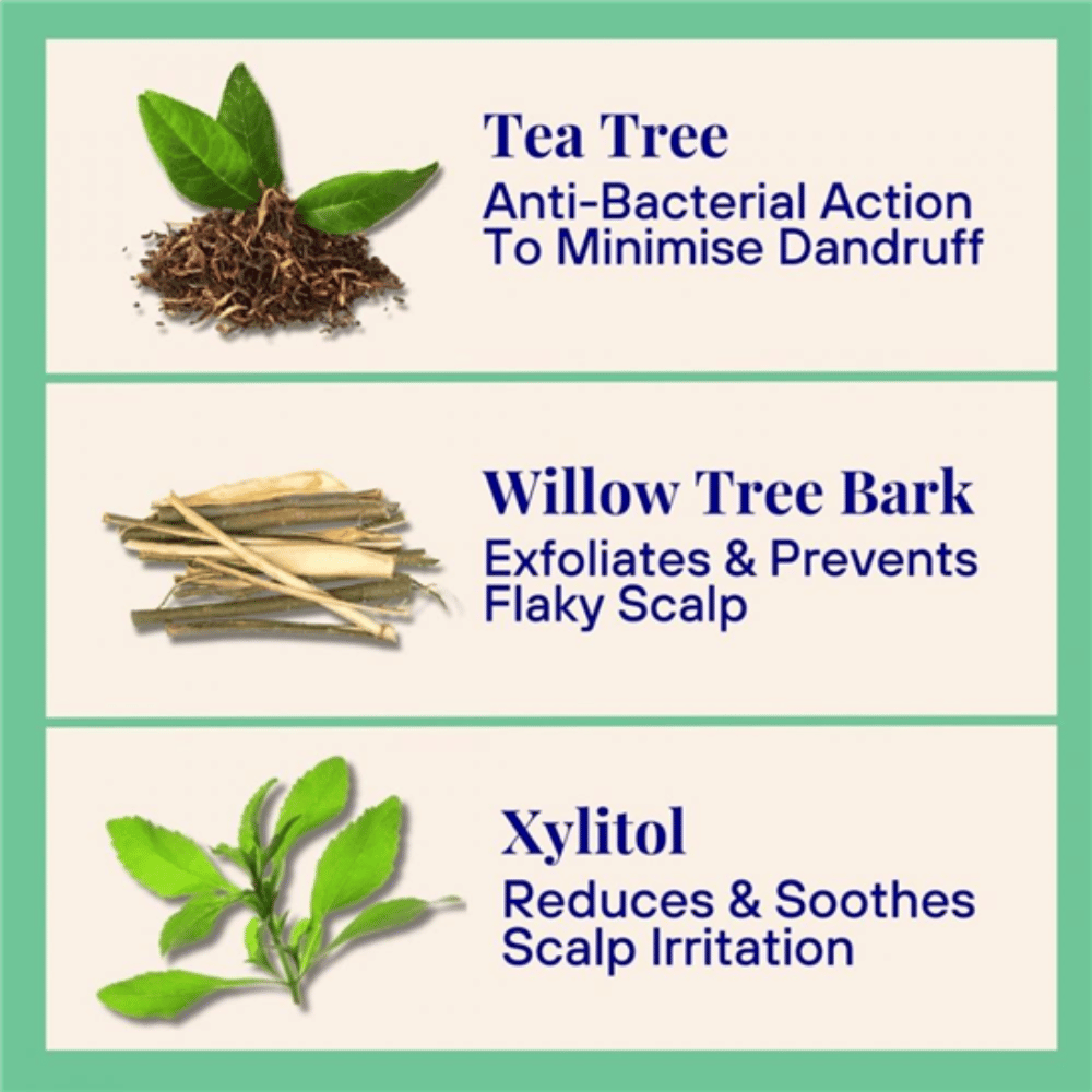 The Powder Shampoo Tea Tree & Thyme Exfoliating Shampoo Refill Pouch 50g- Lillys Pharmacy and Health Store
