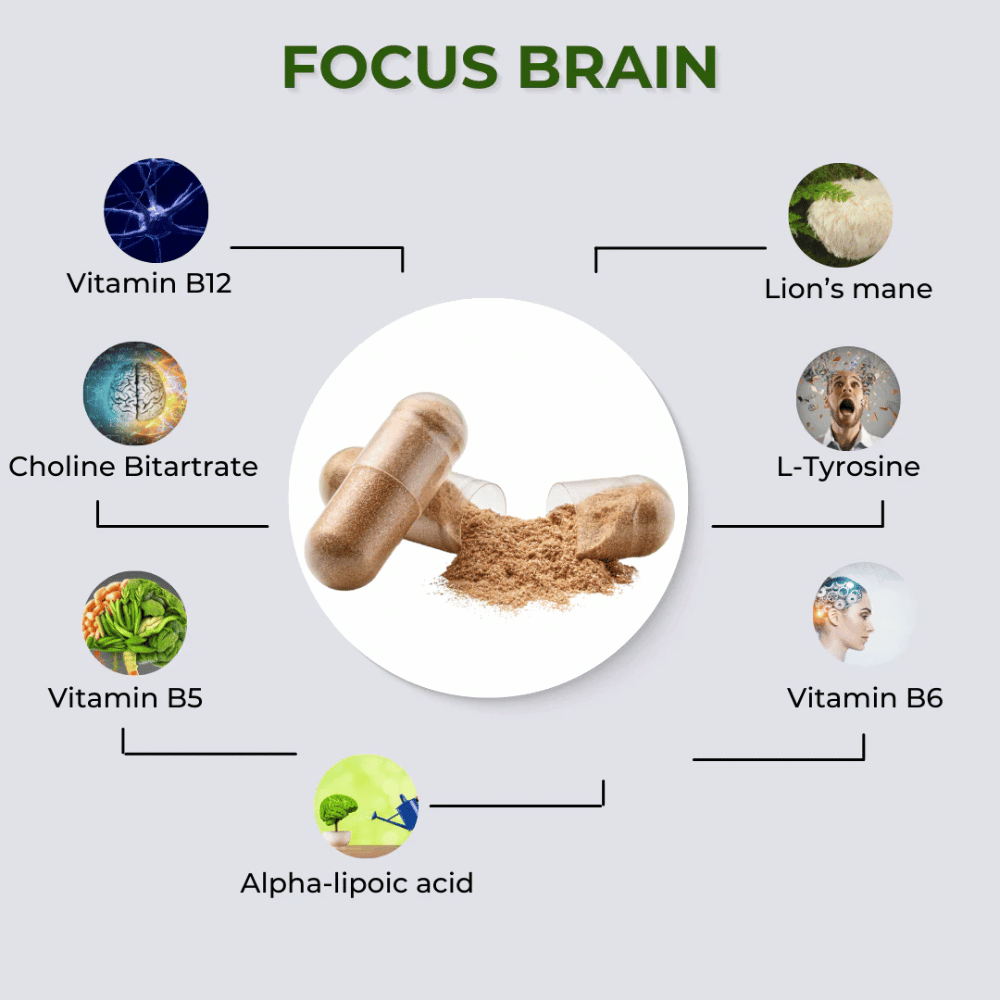 fabÜ Focus Brain 60 Caps- Lillys Pharmacy and Health Store