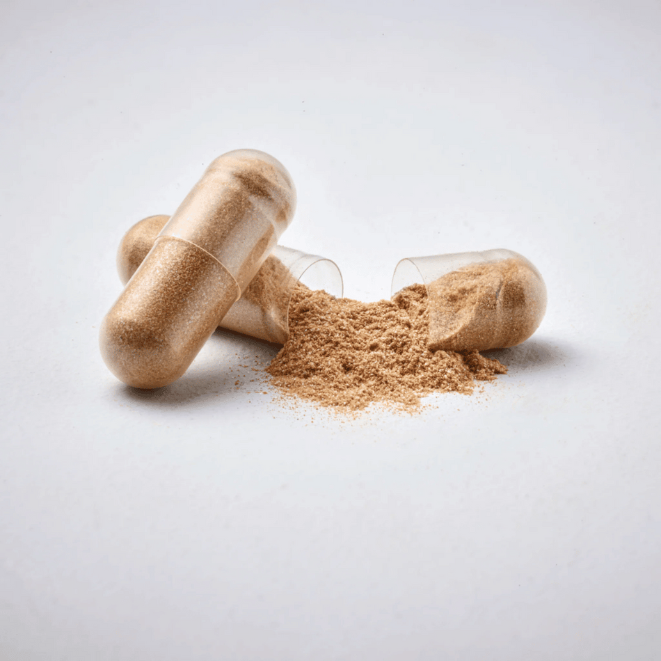fabÜ Shrooms Immune 60 Caps- Lillys Pharmacy and Health Store