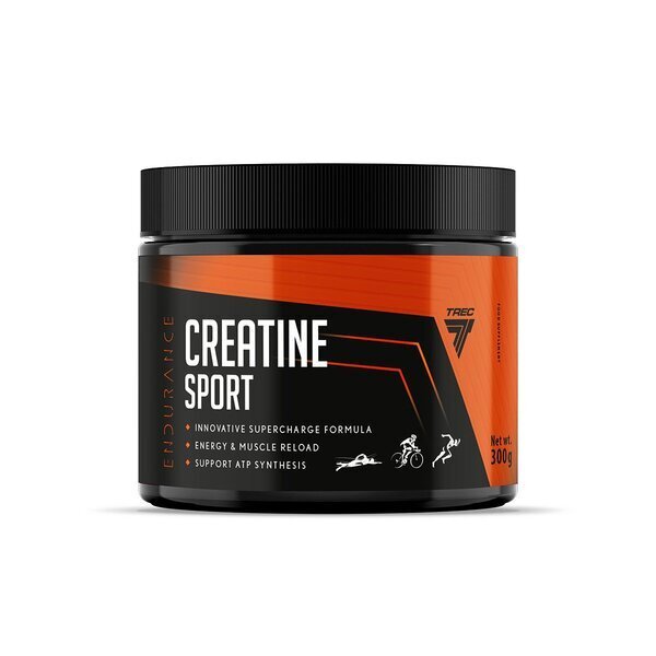 Trec Nutrition Endurance Creatine Sport, Fruit Punch - 300g