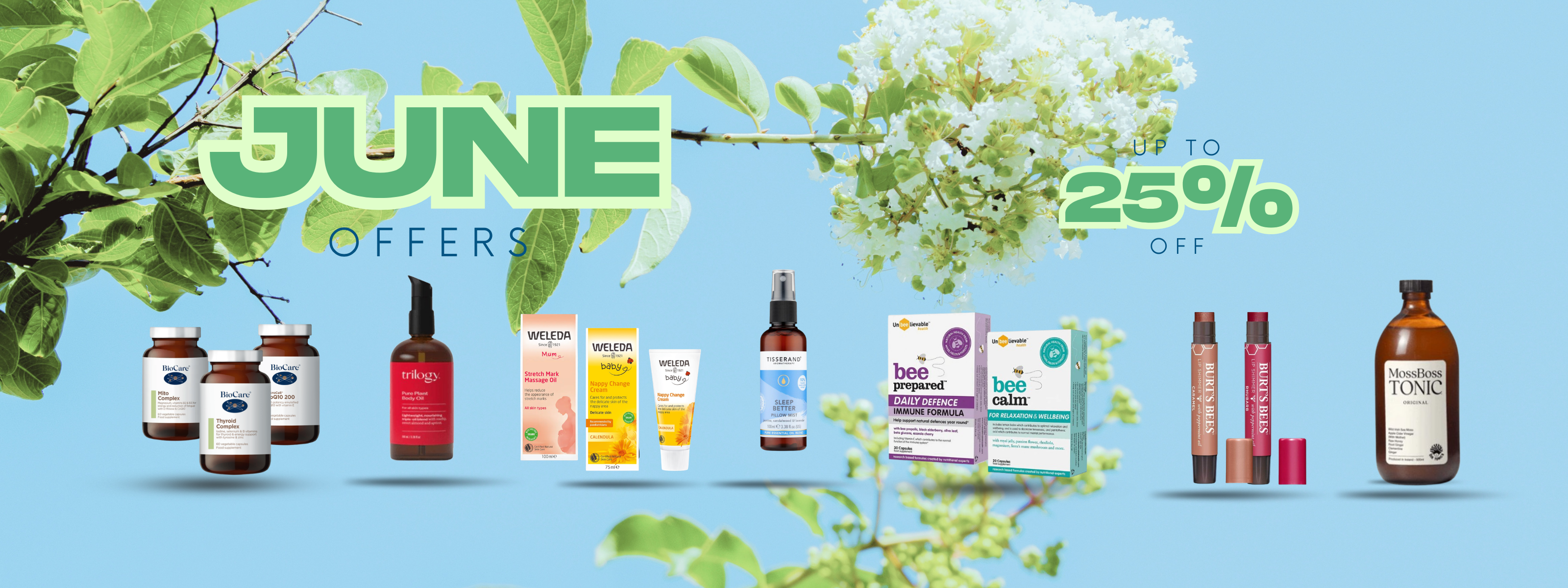main_168ab2c7-3c5e-48b0-b8b8-19e5b2967ead-Lillys Pharmacy & Health Store